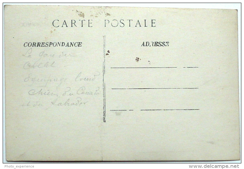 CPA Carte Photo Guerre 14-18 Militaire Chien Traineau Dog WW1 VOSGES Alsace - Guerre 1914-18