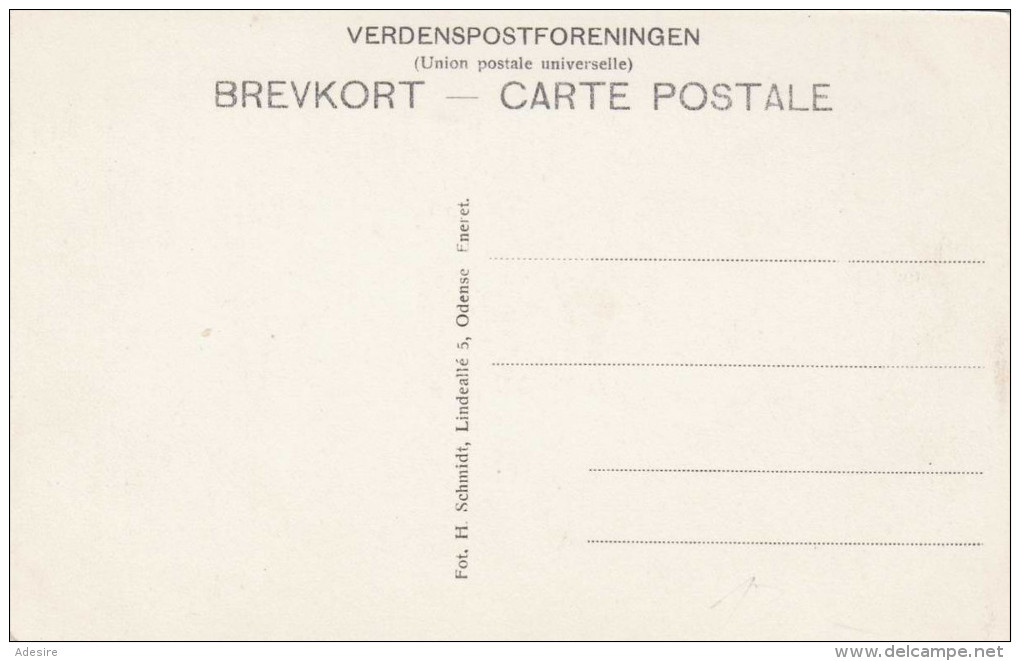 PARTIER FRA HÖIBY, Karte Um 1920 - Dänemark