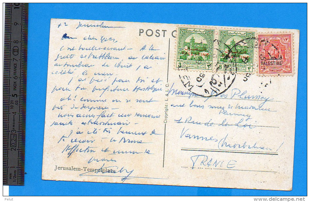 Carte Postale Palestine - Palestine