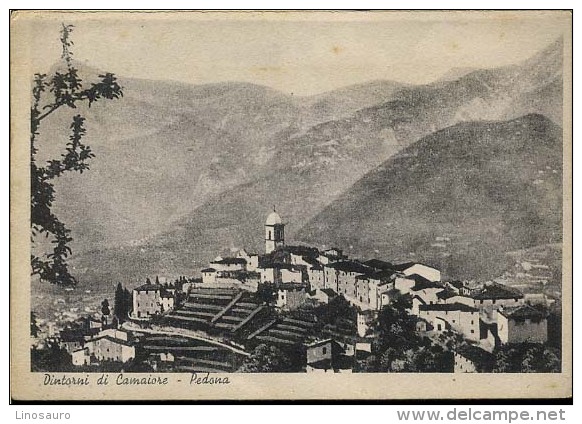 PEDONA - DINTORNI DI CAMAIORE    -F G -  VIAGGIATA -1948 - Lucca