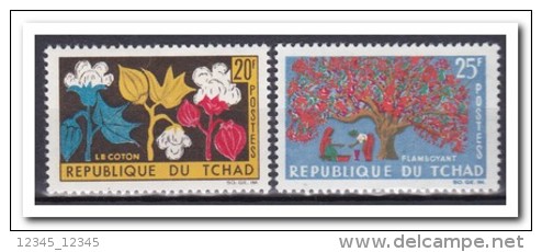 Tsjaad 1964, Postfris MNH, Plants, Trees - Tsjaad (1960-...)