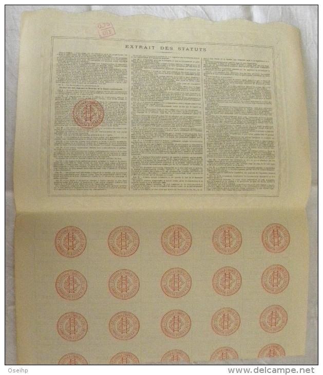 Titre 1911 Société Des SELS GEMMES & HOUILLES De La Russie Méridionale Action De 250 Francs 35 Coupons - - Russie