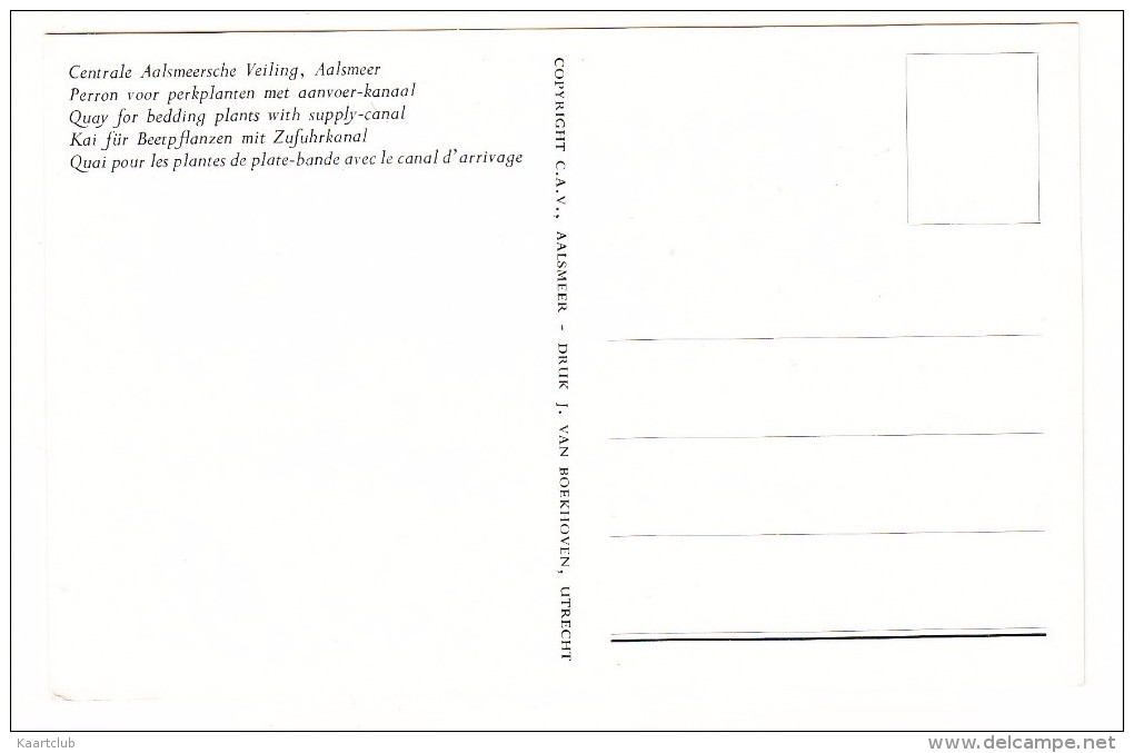Aalsmeer: Centrale Aalsmeersche Veiling; Perron Voor Perkplanten Met Aanvoer-kanaal  / Quay / Kai / Quai - Holland - Aalsmeer