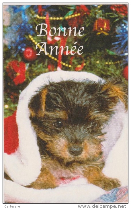 BONNE ANNEE,DOG,CHIEN,MALIN,GUIRLANDE - Hunde