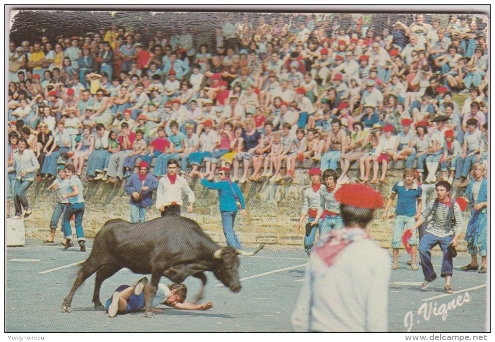 Espagne :  Arène ,  Corida ,  La  Course  Landaise - Other & Unclassified