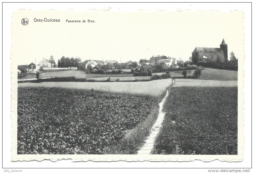 CPA - GREZ DOICEAU - Panorama De BIEZ  // - Graven