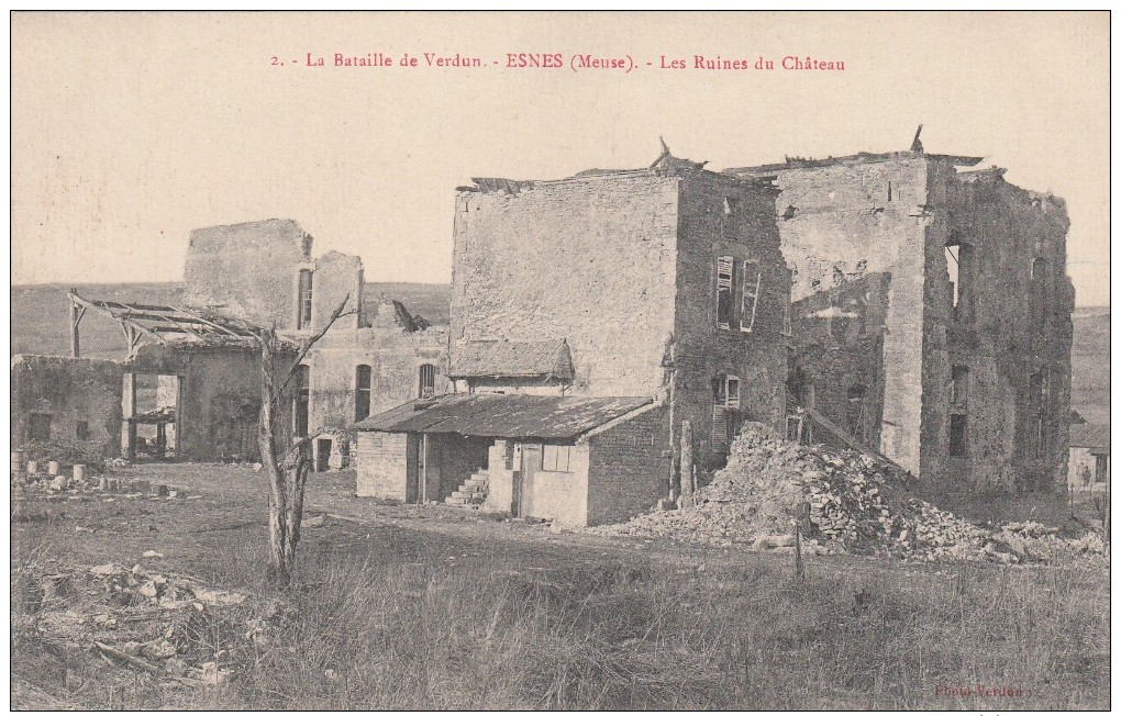 ESNES  LES RUINES DU CHATEAU - Autres & Non Classés