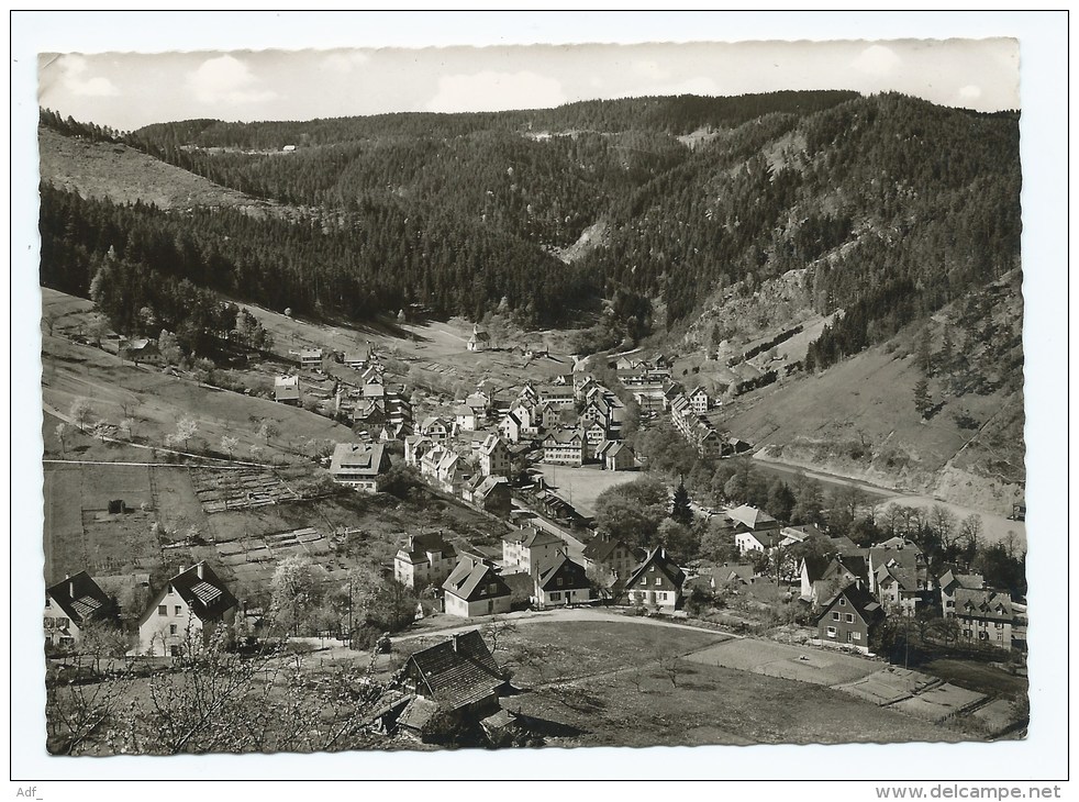 CPSM FÜNFTÄLERSTADT SCHRAMBERG ( SCHWARZWALD ), BLICK VOM BÜHLE INS BERNECKTAL, BADE URTEMBERG, ALLEMAGNE - Schramberg