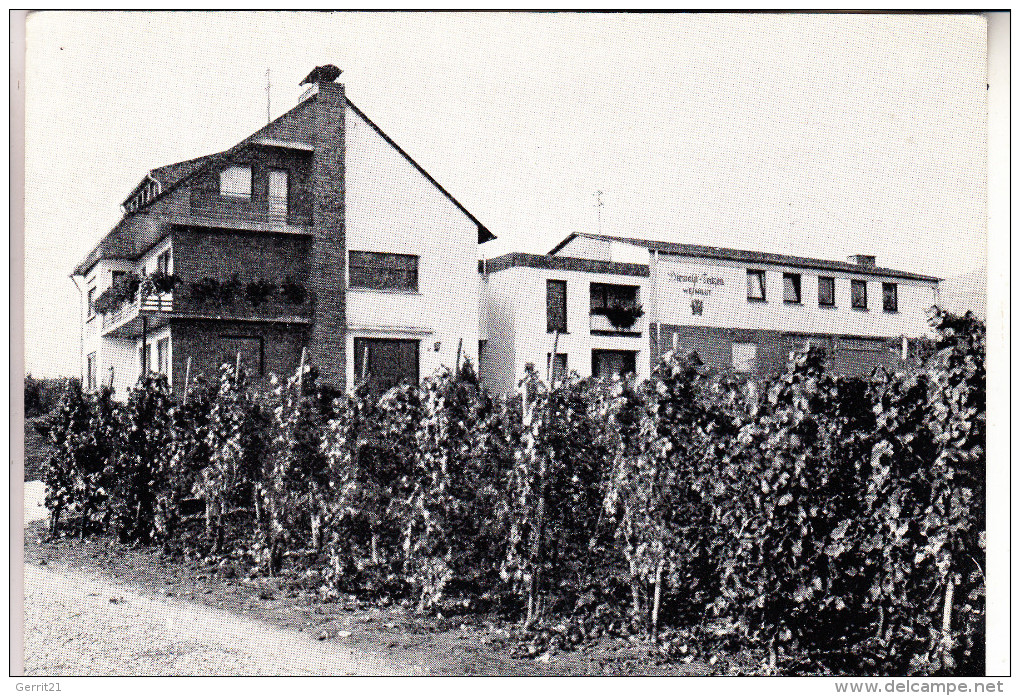 5563 KRÖV, Weingut Diewald-Fritzen - Kroev