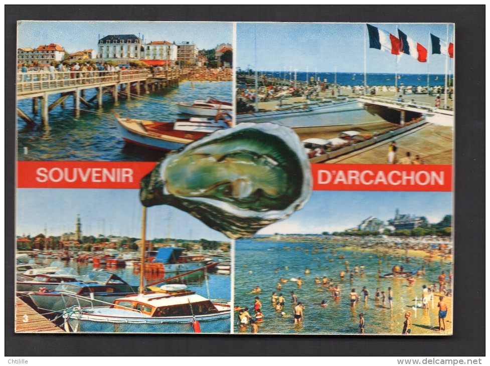 CP1640 * 1 CARTE CPSM BASSIN ARCACHON LA JETEE THIERS HOTELS PLAGE PORT DE PLAISANCE GIRONDE - Arcachon