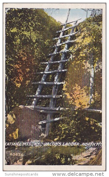 Jacob's Ladder North Mountain Catskill Mountains New York - Catskills
