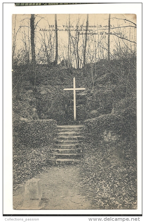 Cp, 78, Abbaye De Port-Royal-des-Champs, Substructions De La Solitude - Magny-les-Hameaux