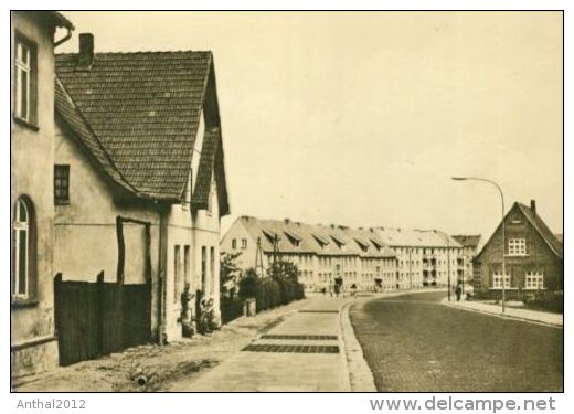 Sternberg Mecklenburg Wilhelm-Pieck-Ring Wohnblock Häuser Sw 1965 - Sternberg