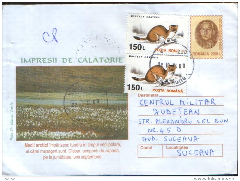 Romania - Stationery Cover 2001 Used - Flowers - Arctic Poppies, Studded Summer Tundra In Polar Whose Mesgeri Are - Fauna ártica