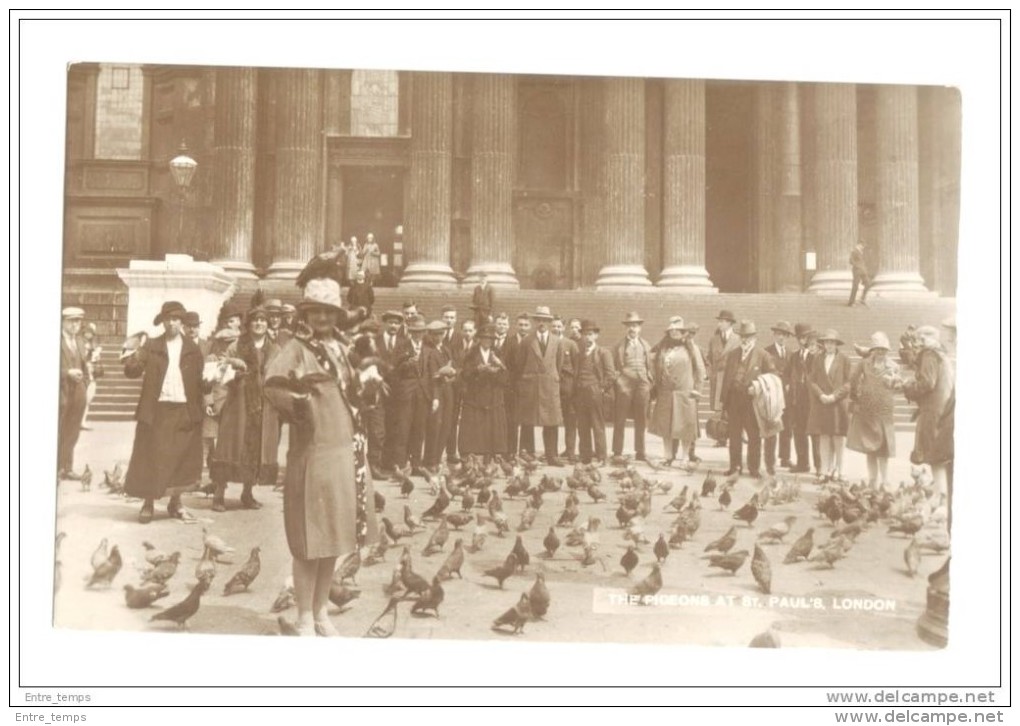 Carte Photo Card Saint Paul's The Pigeons - St. Paul's Cathedral