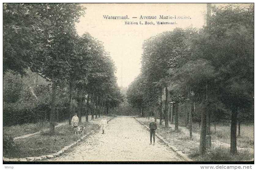 Bruxelles - Watermael - Avenue Marie Louise - Animée - Watermaal-Bosvoorde - Watermael-Boitsfort