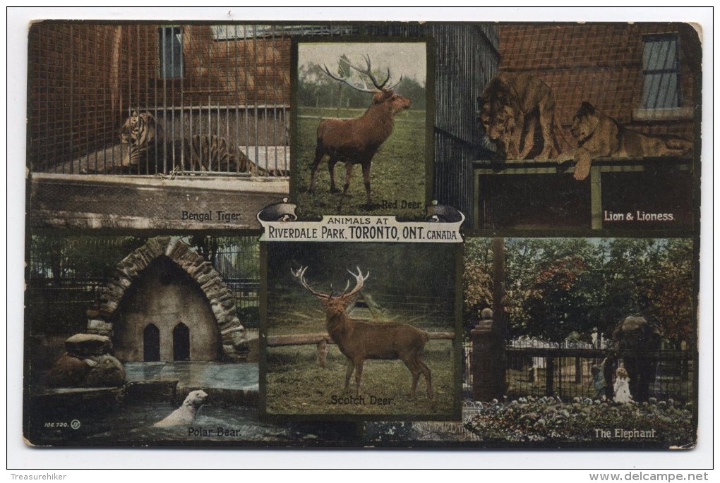 CANADA ~ Animals At Riverdale Park TORONTO Ontario C1910 Multi View Postcard - Toronto