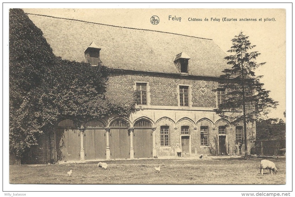 CPA - Château De FELUY - Ecuries Anciennes Et Pilori  // - Seneffe