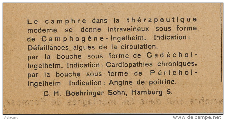 Production De Camphre Brut Dans Les Montagnes De Formosa Camphogene Ingelheim Boehringer Sohn Hamburg - Taiwán