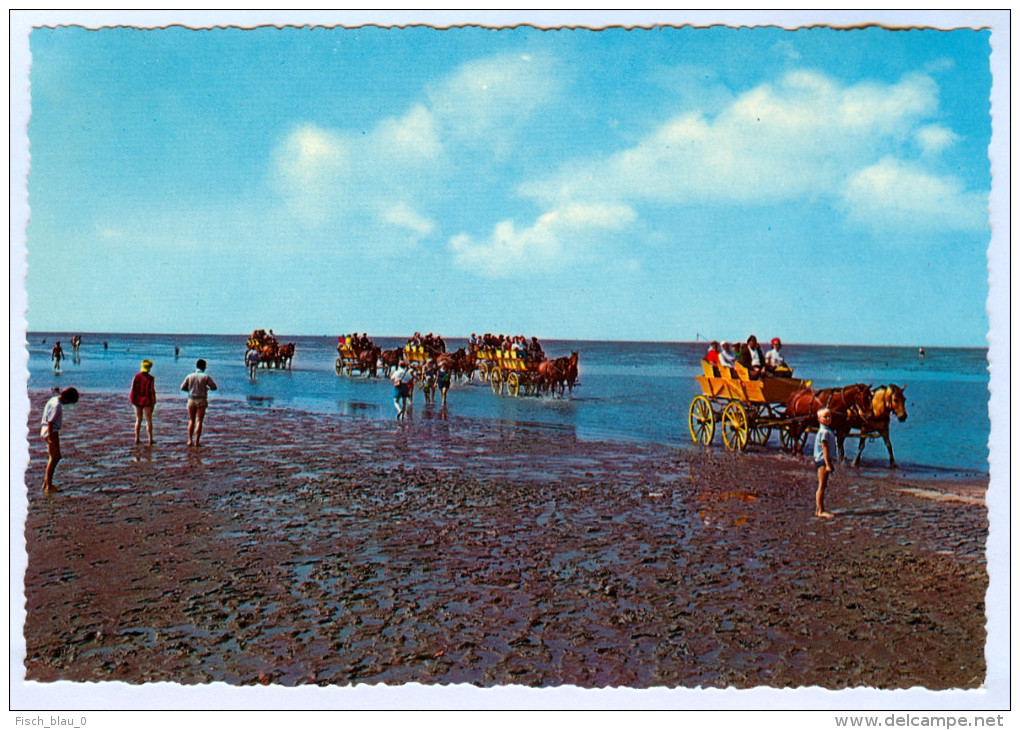 AK Kutsche Pferdewagen Wattenfahrt Insel Neuwerk Niedersachsen Nordsee Pferde Horses Cuxhaven Deutschland Germany - Taxis & Huurvoertuigen