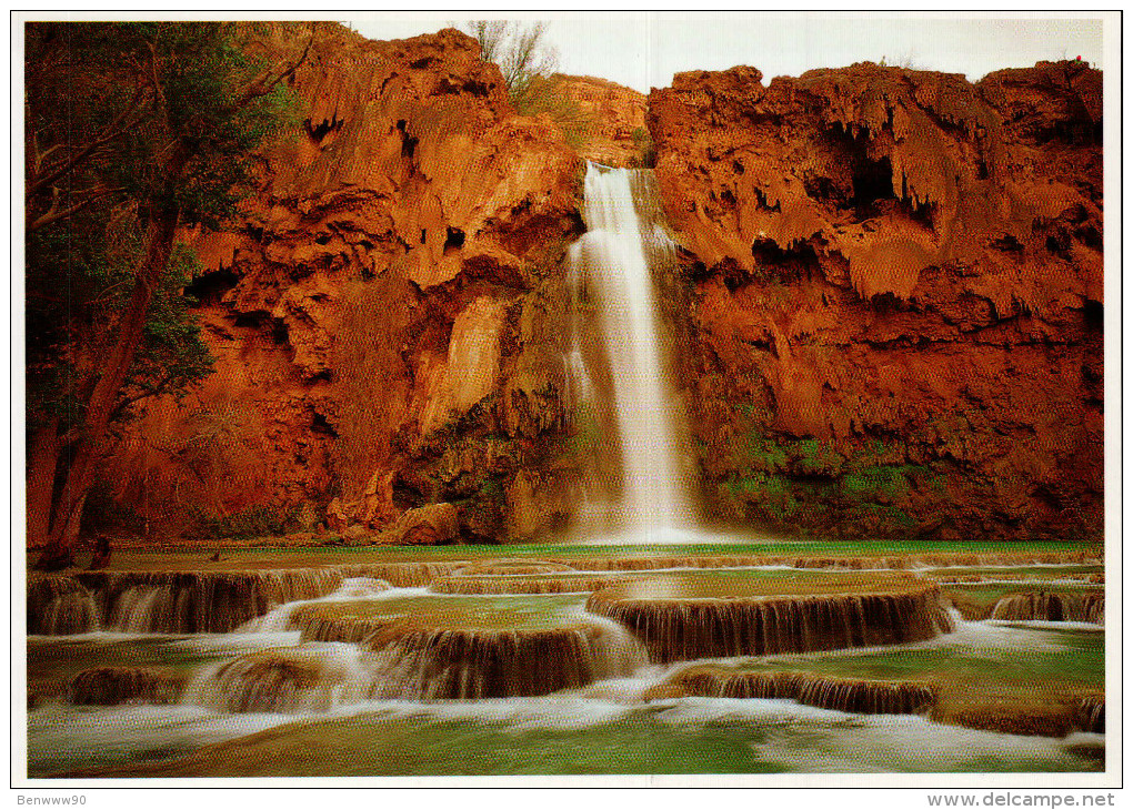 Grand Canyon National Park Postcard, Havasu Falls - USA National Parks