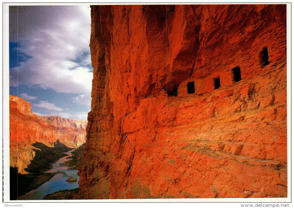 Grand Canyon National Park Postcard, Colorado River - USA National Parks