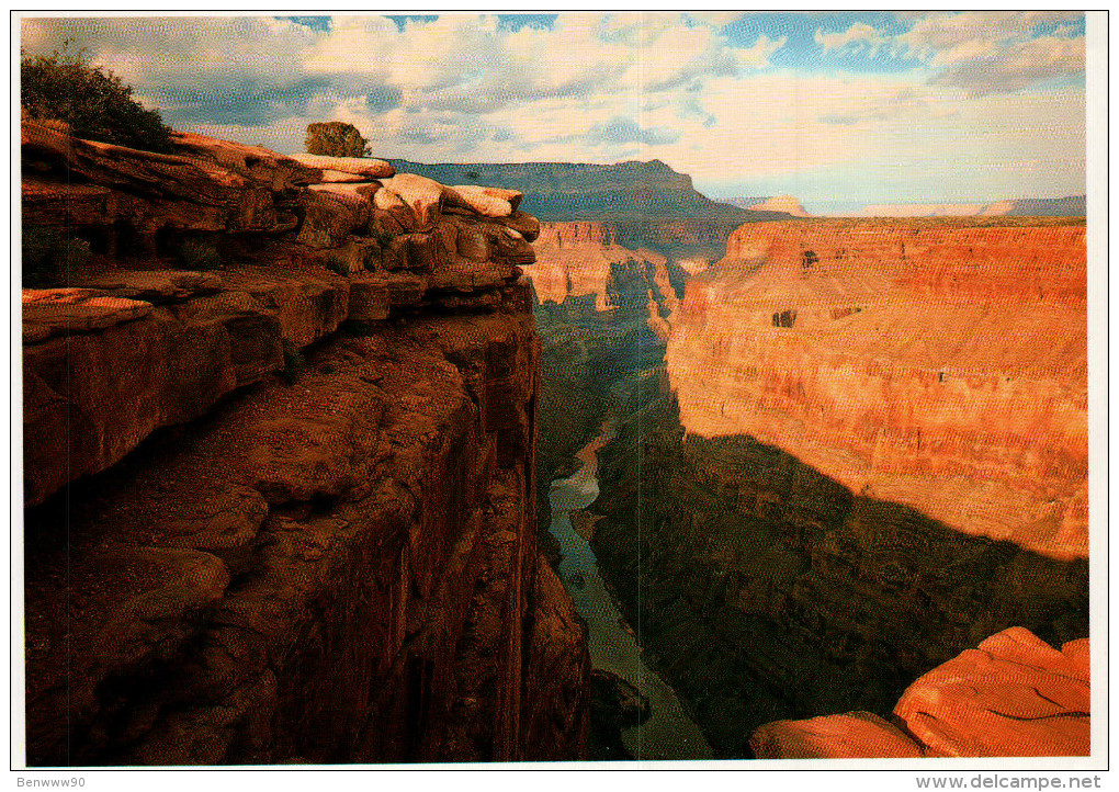 Grand Canyon National Park Postcard, Toroweep Overlook - USA National Parks