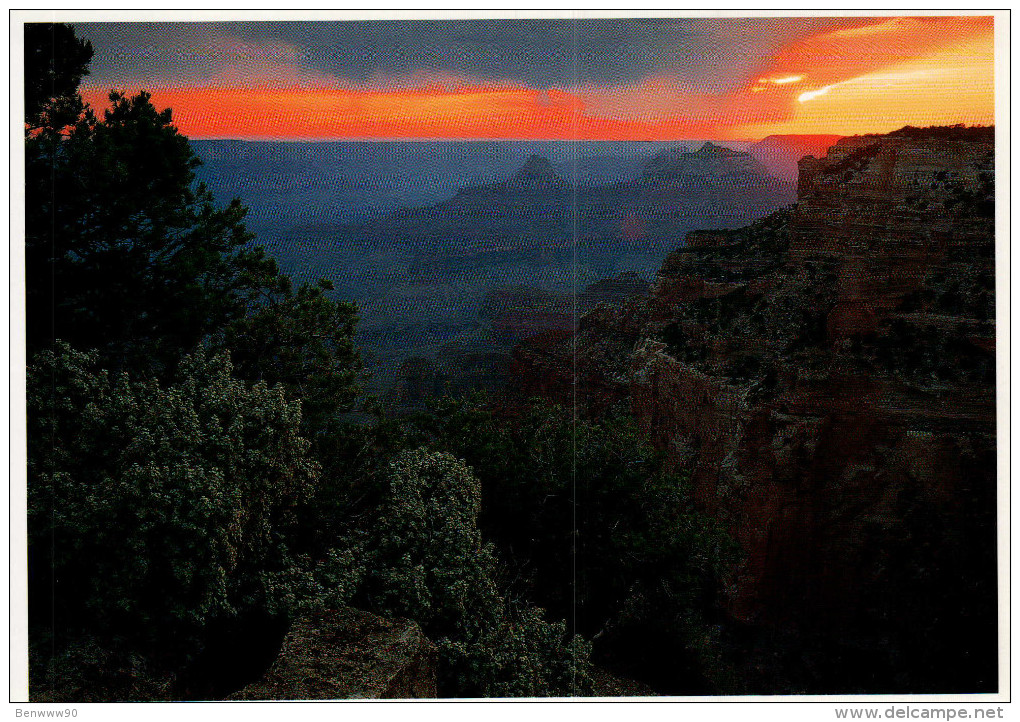 Grand Canyon National Park Postcard, Sunset At North Rim's Cape Royal - USA National Parks