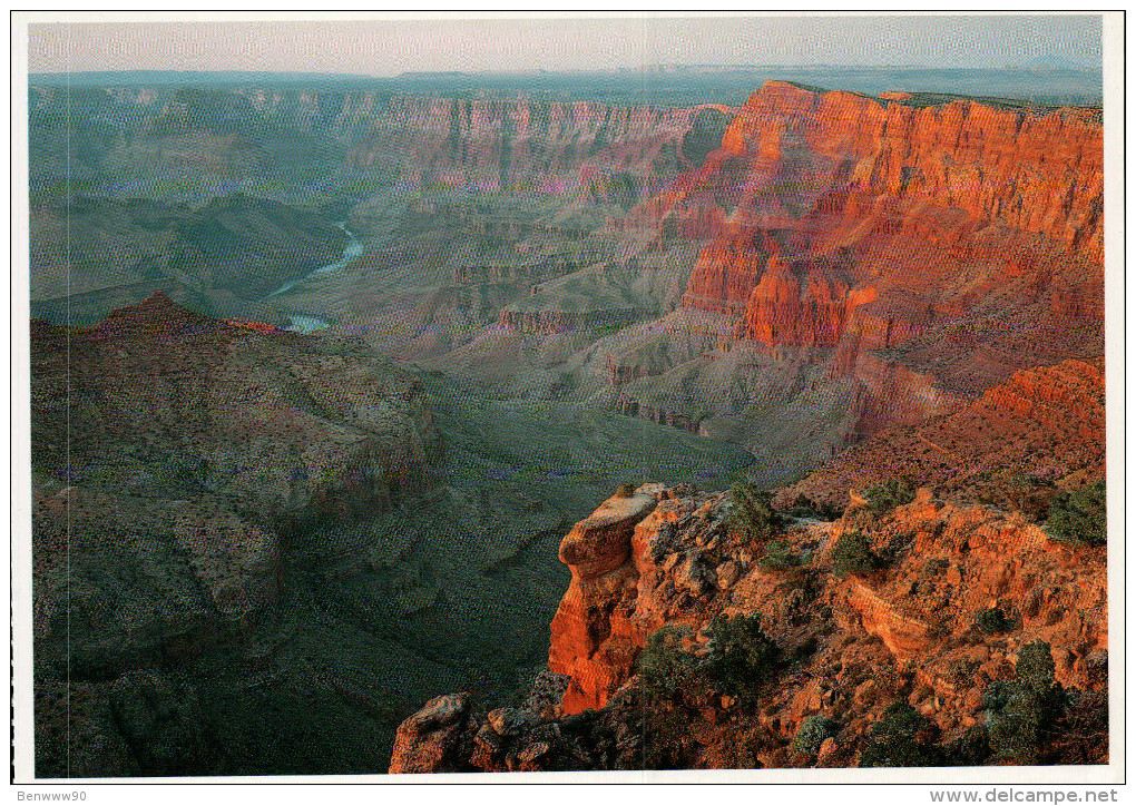 Grand Canyon National Park Postcard, Colorado River From Navajo Point - USA National Parks