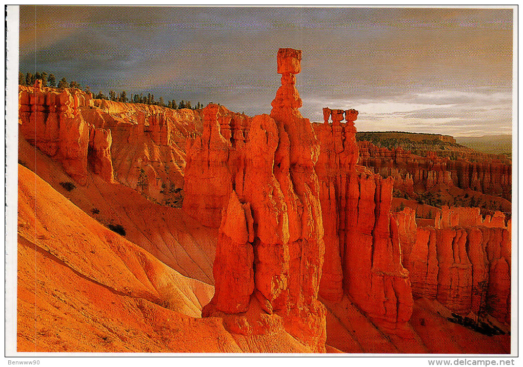 Utah's National Parks Postcard, Bryce Canyon National Park, Down The Navajo Loop Trail - USA National Parks