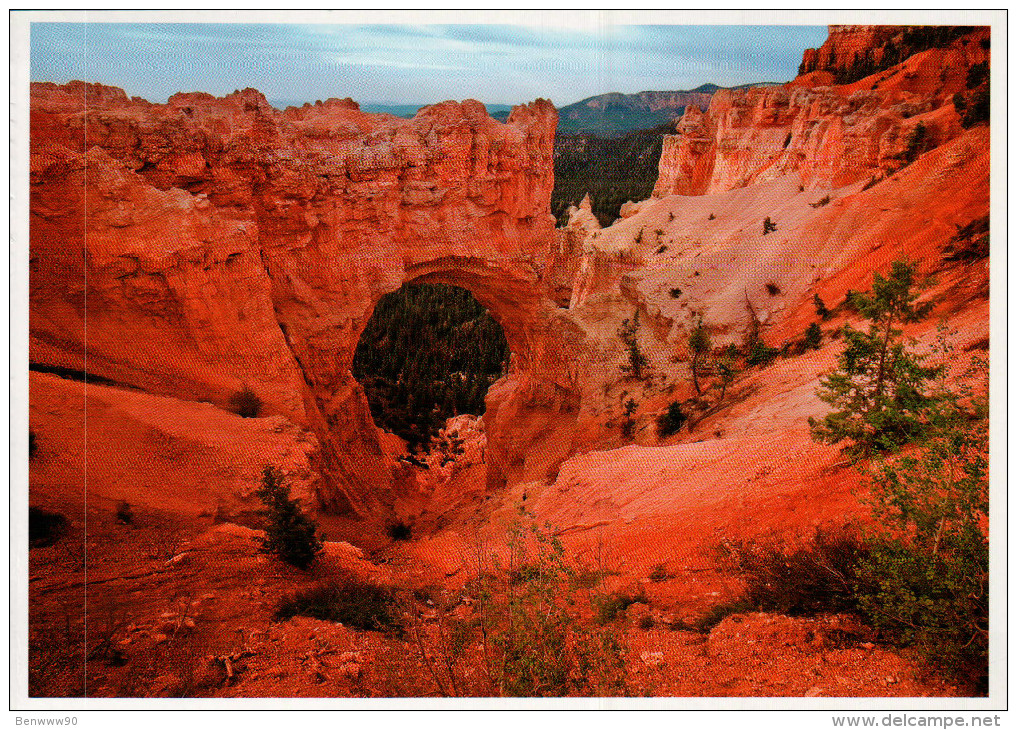 Utah's National Parks Postcard, Bryce Canyon National Park, Natural Bridge - USA National Parks