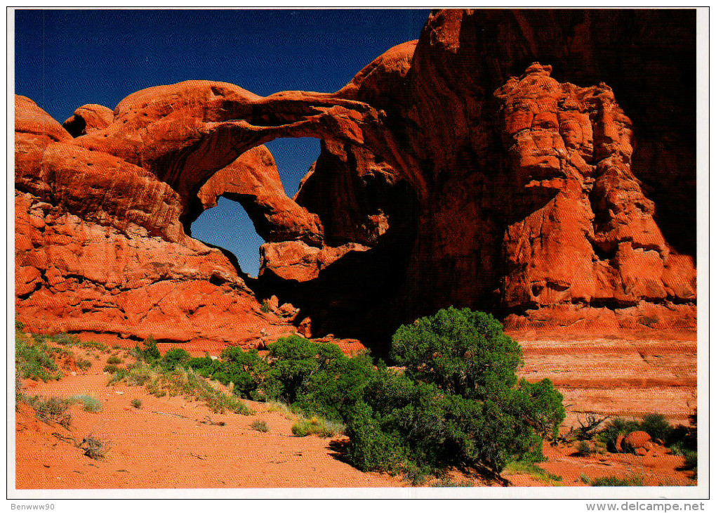 Utah's National Parks Postcard, Arches National Park, Largest Arches - USA National Parks