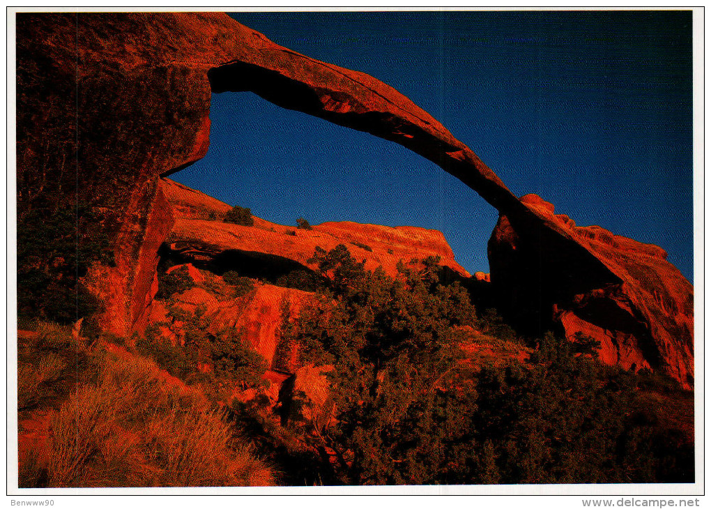 Utah's National Parks Postcard, Arches National Park, Landscape Arch - USA National Parks