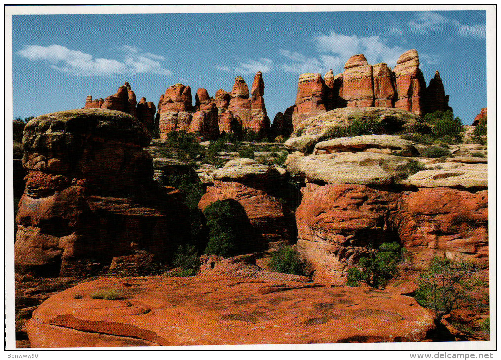 Utah's National Parks Postcard, Canyonlands National Park, The Needles District - USA National Parks