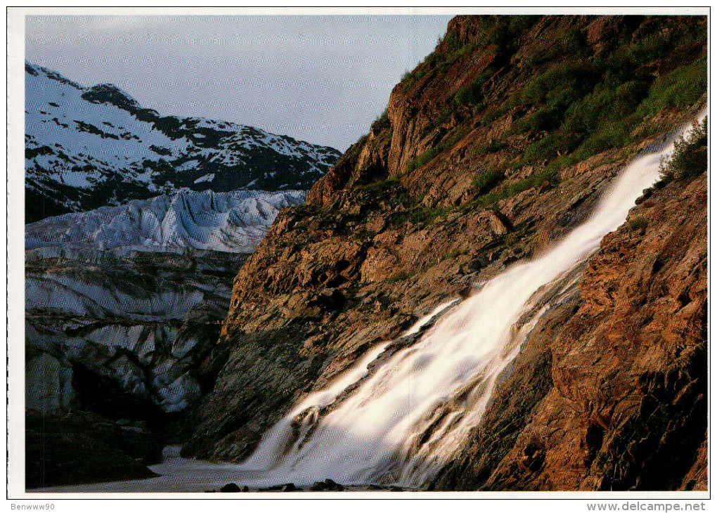 Mendenhall Glacier Postcard, Glacier Ice, At The Terminus Of Mendenhall Glacier - USA National Parks