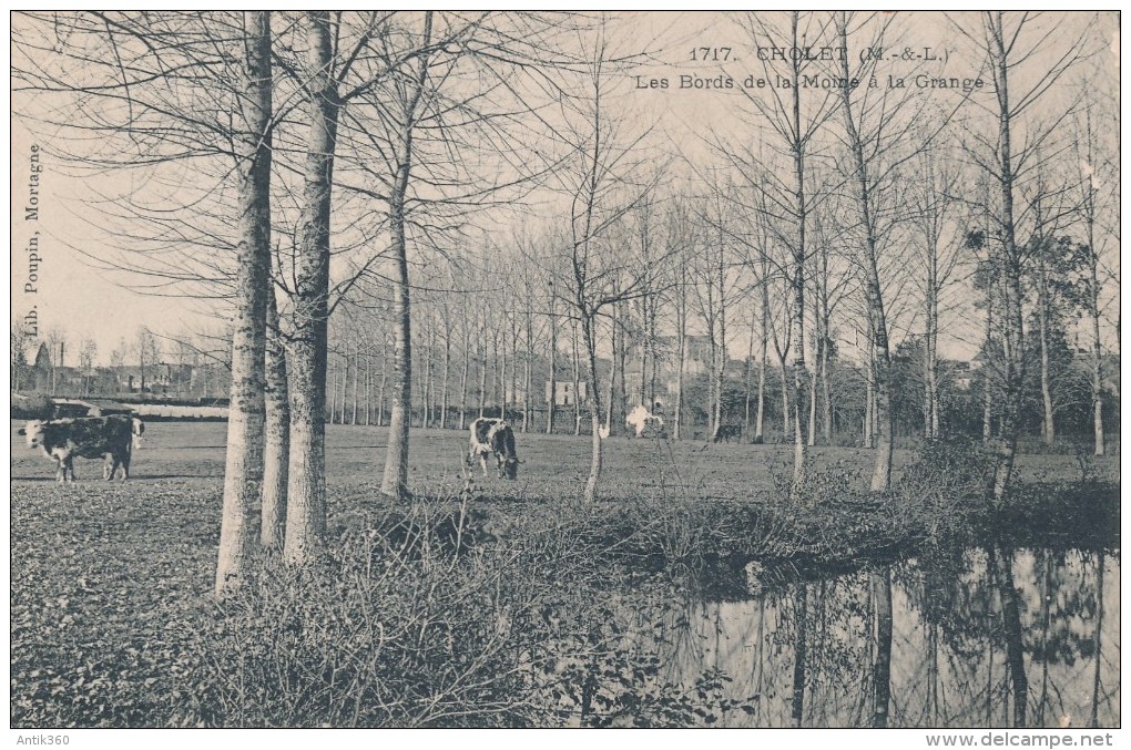 CPA 49 CHOLET Carte Rare - Les Bords De La Moine à La Grange - Cholet