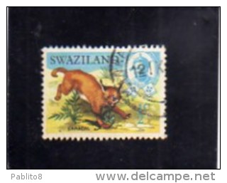 SWAZILAND 1969 FAUNA ANIMALS CARACAL AFRICAN LINX WILDLIFE WILD ANIMAL 1/2c  CENT. 1/2  LINCE ANIMALE SELVATICO USED - Swaziland (1968-...)