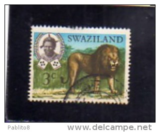 SWAZILAND 1969 FAUNA ANIMALS LION WILDLIFE WILD ANIMAL 3c  CENT. 3 LEONE ANIMALE SELVATICO USED - Swaziland (1968-...)