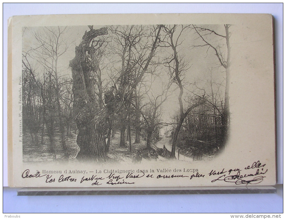 93 - HAMEAU D'AULNAY - LA CHATAIGNERAIE DANS LA VALLEE DES LOUPS - ANIMEE - DOS  SIMPLE - 1902 - Aulnay Sous Bois