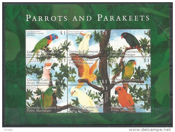 Grenadined (G): Red-collared Lorikeet (Trichoglossus Rubritorquis)......... Sun Parakeet (Aratinga Solstitialis) - Papegaaien, Parkieten
