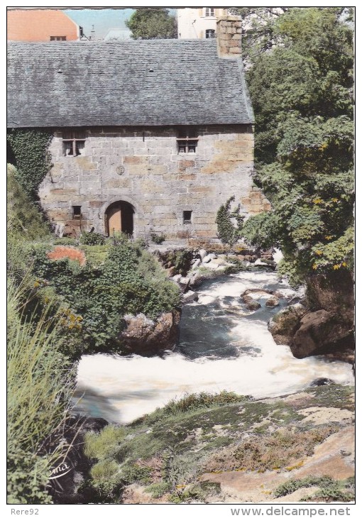 29 FINISTERE HUELGOAT LE MOULIN A EAU - Huelgoat