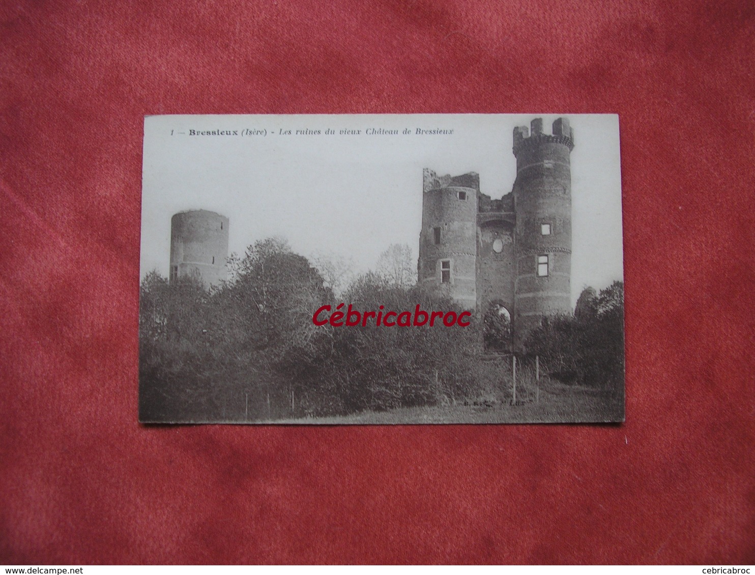 LCP34 - BRESSIEUX - Les Ruines Du Vieux Château De Bressieux - Bressieux