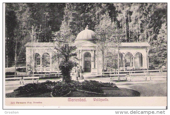 MARIENBAD (MARIANSKE LAZNE) 318 WALDQUELLE - Tsjechië