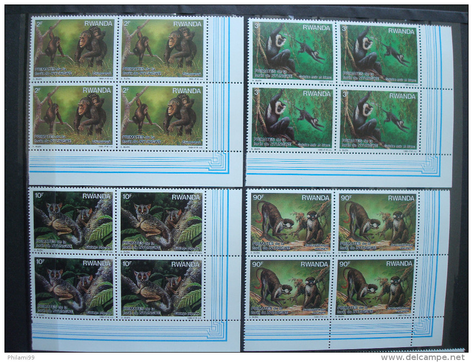 RWANDA + SENEGAL / 2 SETS In BLOCS Of 4 / MNH ** / WILD FAUNA / APES FELINES / BUZIN ASLAM Singes Félins - Sammlungen