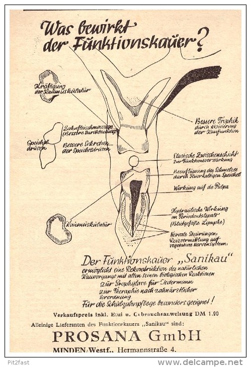 Original Werbung - 1951 - PROSANA In Minden / Westf. , Zahnarzt , Stomatologe , Dental !!! - Minden