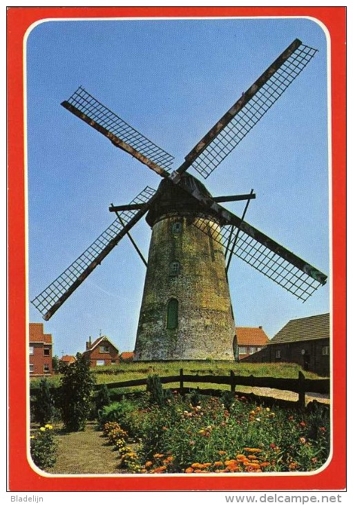 GIERLE Bij Lille (Antw..) - Molen/moulin - Historische Opname Van Molen ´In Stormen Sterk´ Omstreeks 1965 - Lille