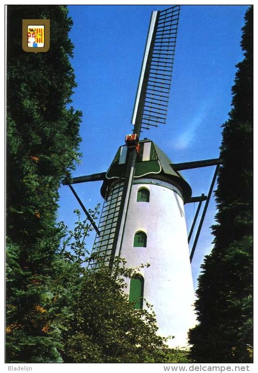 GIERLE Bij Lille (Antw..) - Molen/moulin - Historische Opname Van Molen ´In Stormen Sterk´ Met Slechts Twee Wieken - Lille