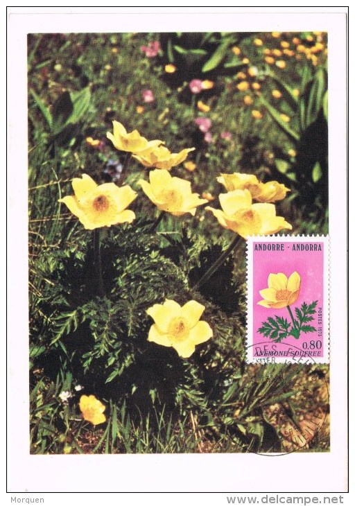 R 943. Tarjeta Maxima ANDORRA Francesa 1977. Flores, Flowers - Maximum Cards