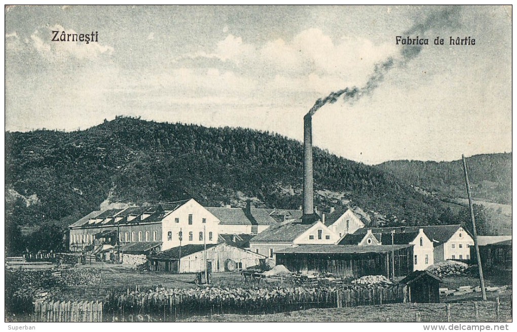 TRAVAIL DU BOIS En ROUMANIE / WOOD EXPLOITANTION / TIMBER / WOOD WORKING : ZARNESTI - PAPER FACTORY ~ 1925 (r-8560 - Roumanie