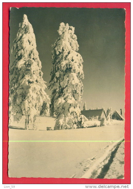 164627 /  Bad Salzungen  - WINTER TREE HOUSE    - USED 1961 DDR Germany Deutschland Allemagne Germania - Bad Salzungen